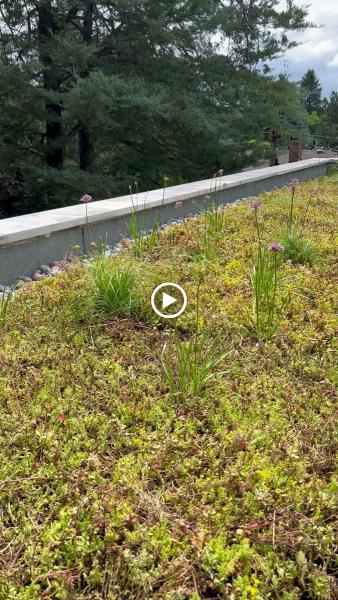 Vertical Landscape Architects