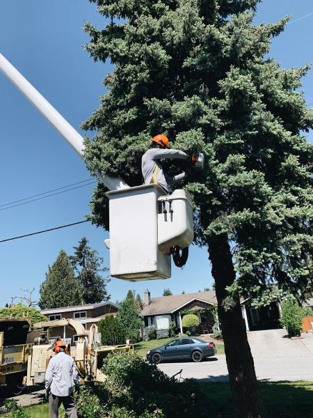 Diamond Tree Service