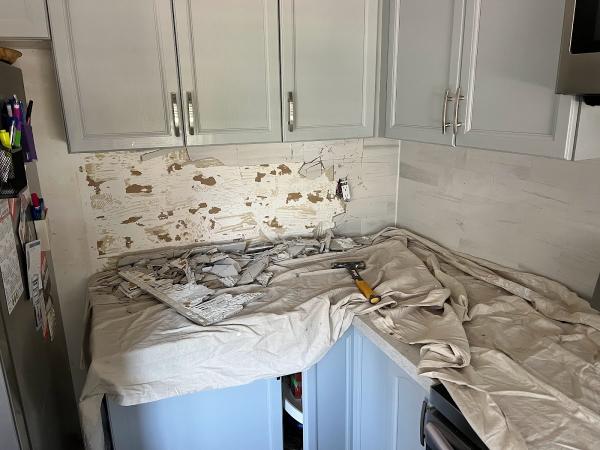 N&L Demo and Renovation