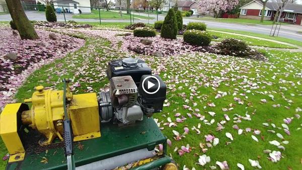 Lawn Rolling & Aerating