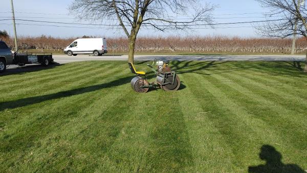 Lawn Rolling & Aerating