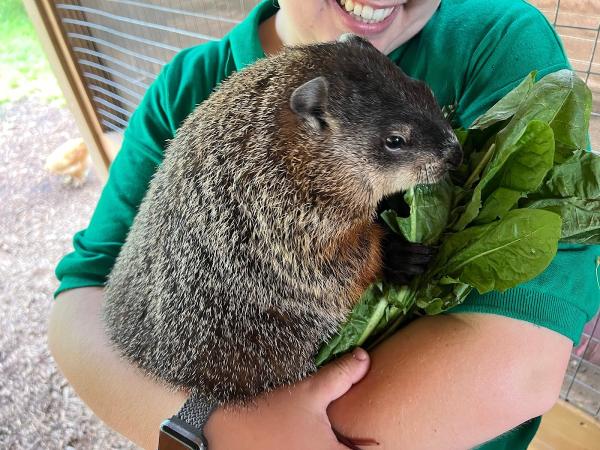 Soper Creek Wildlife Rescue