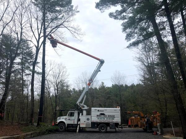 Hanet Tree Service