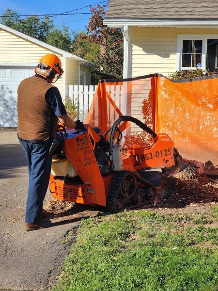 Brent's Stump Removal