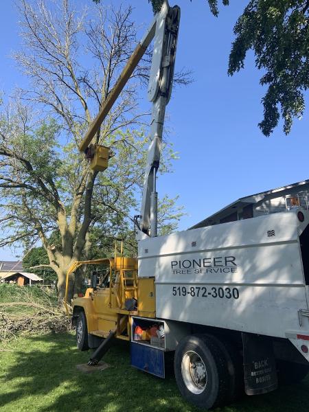 Pioneer Tree Service