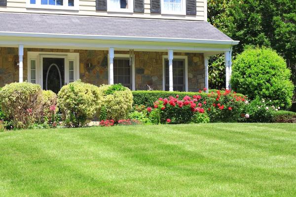 Landscaping Mississauga