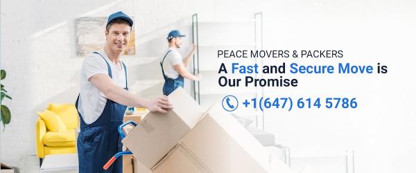 Peace Movers and Packers