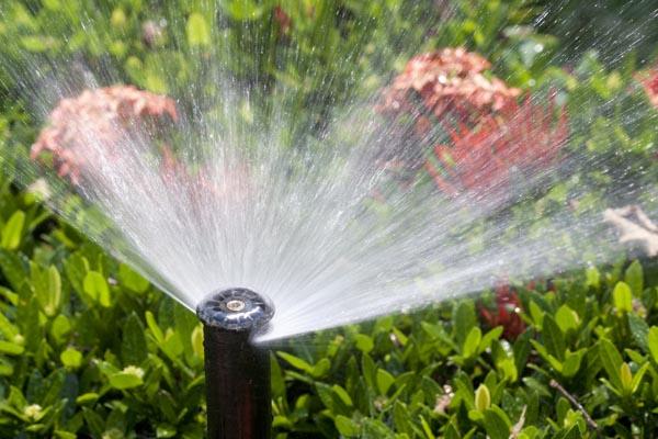 Articulate Lawn Sprinklers