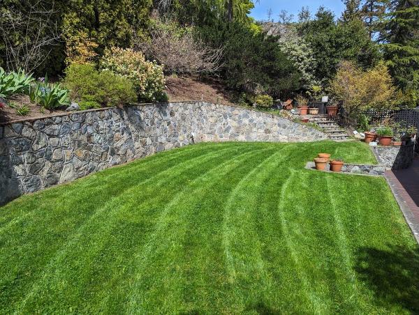 Tomei Landscaping Ltd
