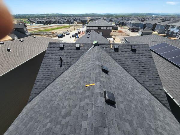 Action Roofing & Siding Ltd.