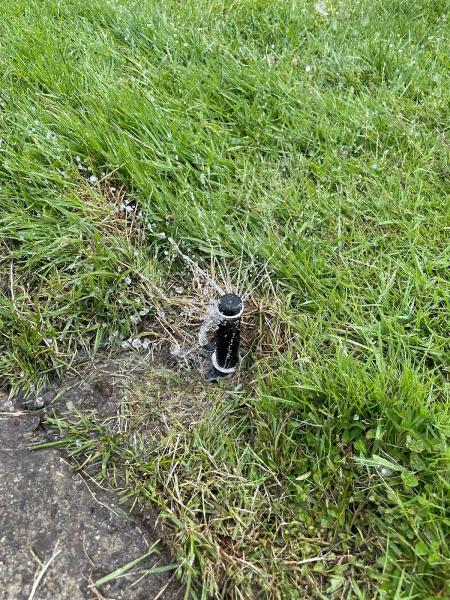 University Sprinklers