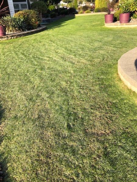 University Sprinklers