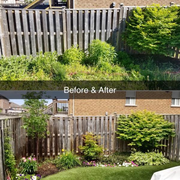 Garden Solutions by Charlie Dobbin