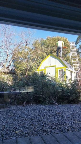 Golden Grove Maintenance