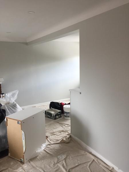 D&A Professional Painting Ottawa