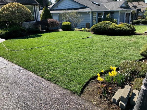 BC Instant Lawns and Landscapes