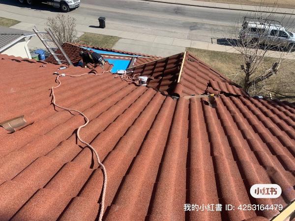 Focus Roofing LTD