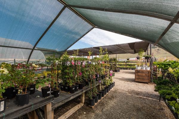 Lyons Landscaping and Garden Centre