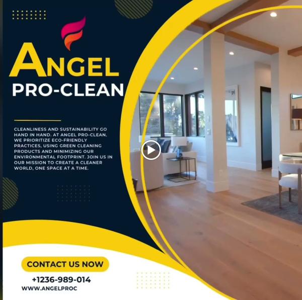 Angel Pro-Clean