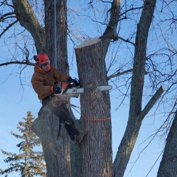 Aaron's Tree Care