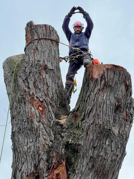 Aaron's Tree Care