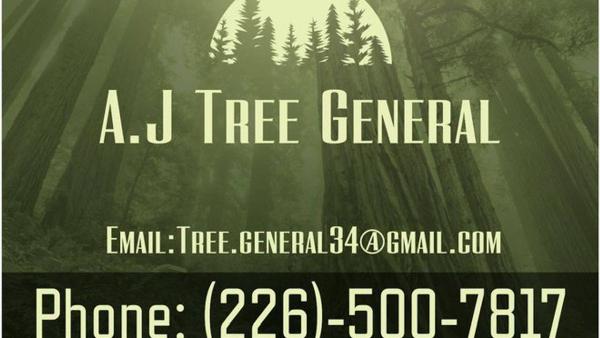 A.J Tree General