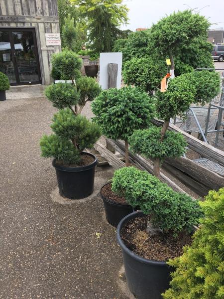 Haight's Garden Centre & Landscaping