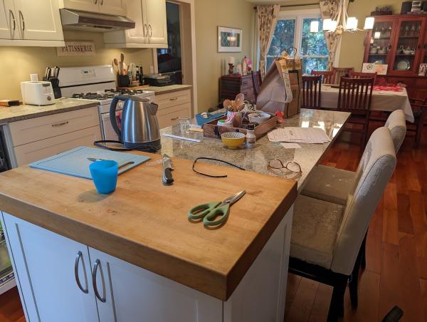 Omega Residential Cleaning and Organizing Services