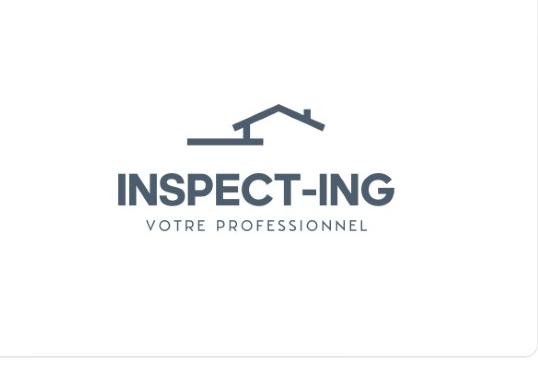 Inspect-Ing Inc.