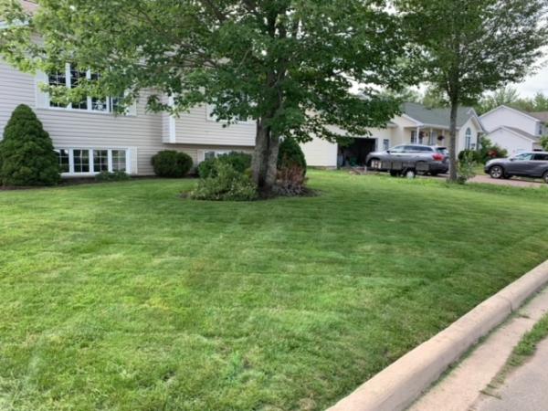 Emerald Lawns & Landscaping
