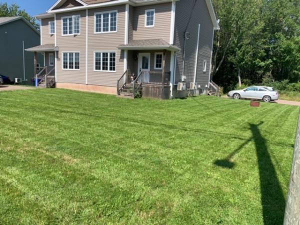 Emerald Lawns & Landscaping