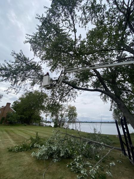 Bayshore Tree Service