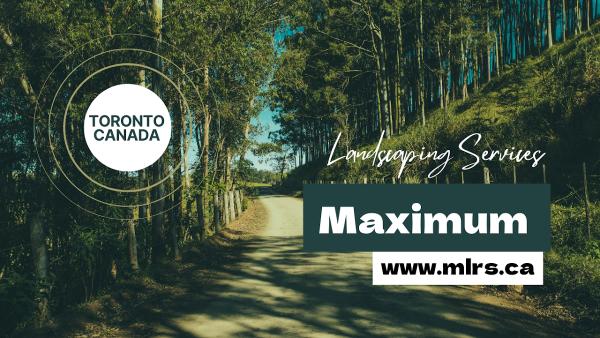 Maximum Landscaping Services