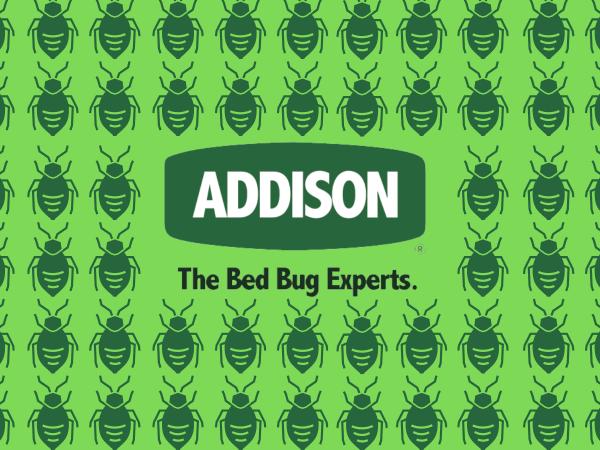 Addison Pest Control