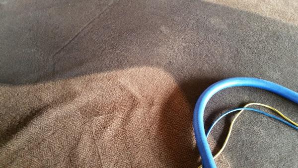 1st Choice Carpet Cleaning