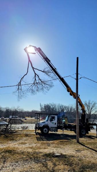 Green Drop Tree Care