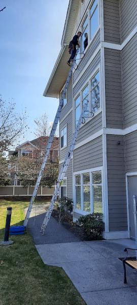 All Star Window Cleaning