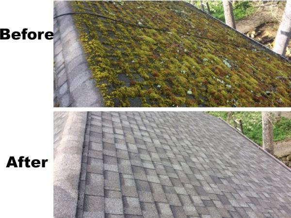 Monarch Outdoor Care