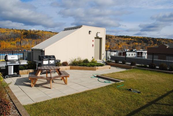 Terracon Geotechnique Ltd