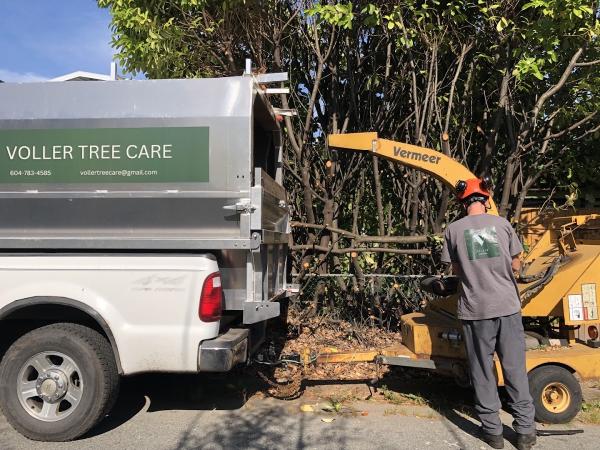 Voller Tree Care