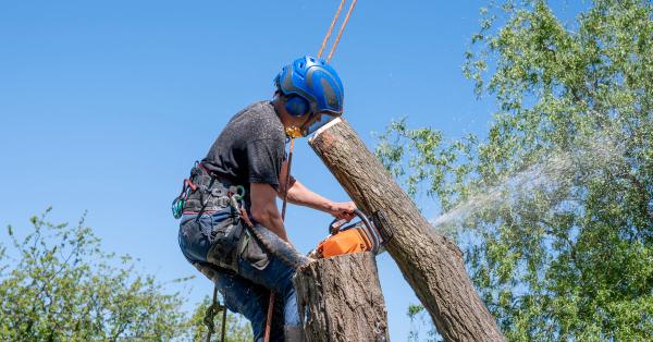 Orangex Tree Services