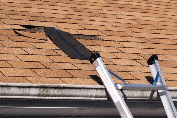 Roofing Services London