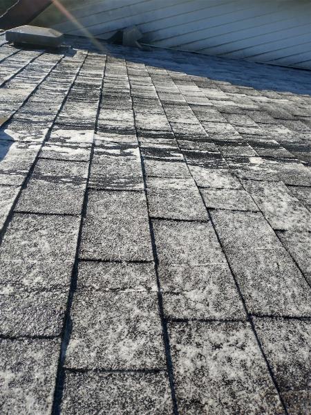 Quality Pressure Wash