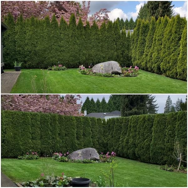 Hedge Pros