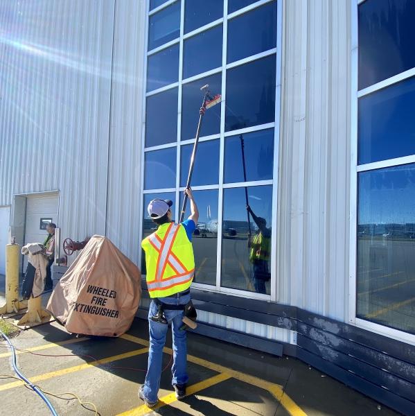 Squeaky D Window Cleaning