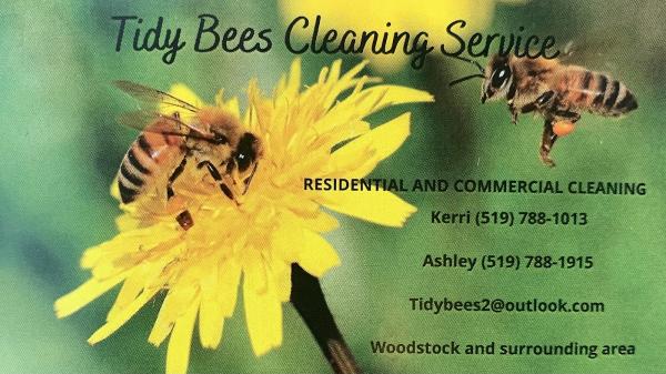 Tidy Bees Cleaning Service