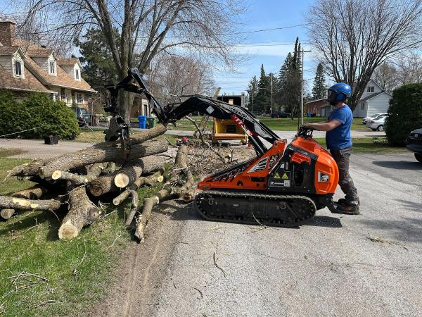 Arboriculture Lapointe Inc.