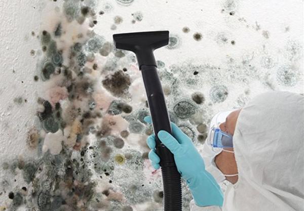 Tower Environmental Services