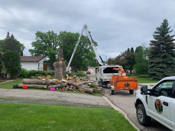 Mitchel's All Season Tree Experts Inc.