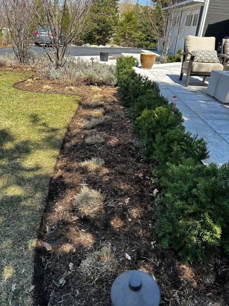 Georgian Edge Landscaping